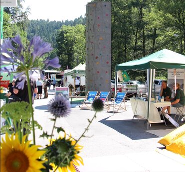 Bunter Marktplatz am Depot der Kirnitzschtalbahn